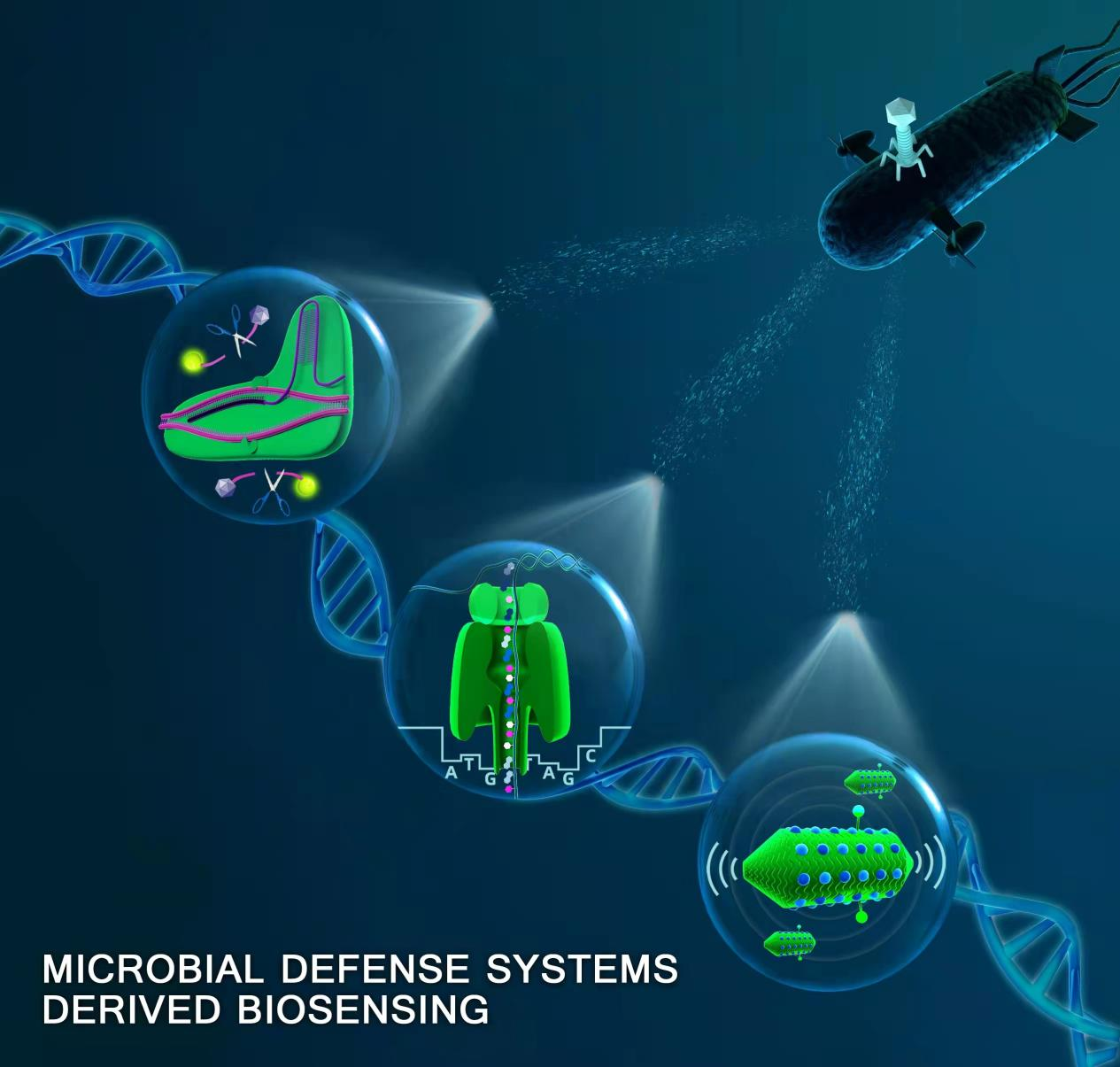 MDS新型生物传感平台