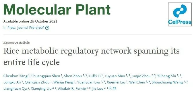 海南大学热带作物学院罗杰教授团队构建水稻全生育期代谢调控网络