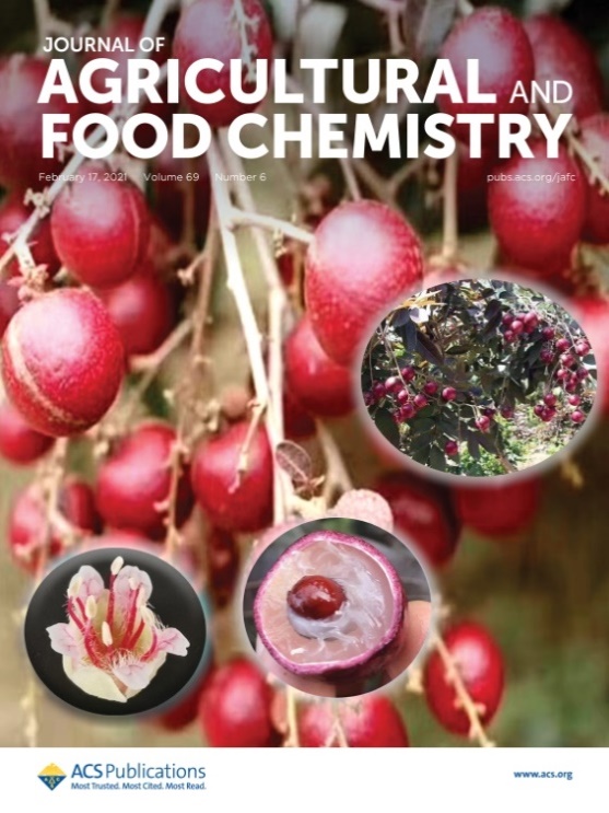 农林科学领域国际顶级期刊《Journal of Agricultural and Food Chemistry》 以封面论文形式刊登海南大学园艺学院师生最新研究成果