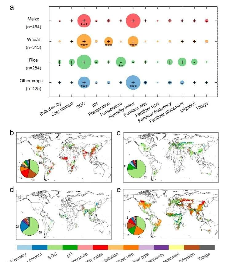 海南大学热带作物学院教授巨晓棠合作研究成果在《Nature Food》上发表